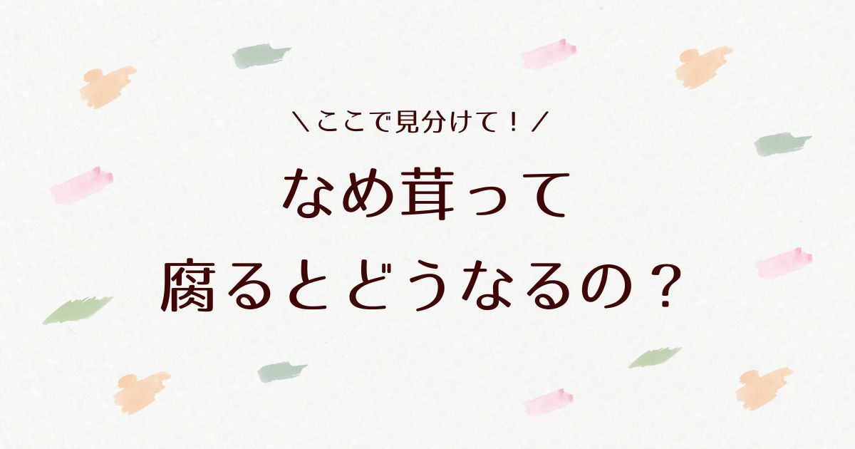 なめ茸は腐るとどうなる？ 見分け方と安全な保存方法