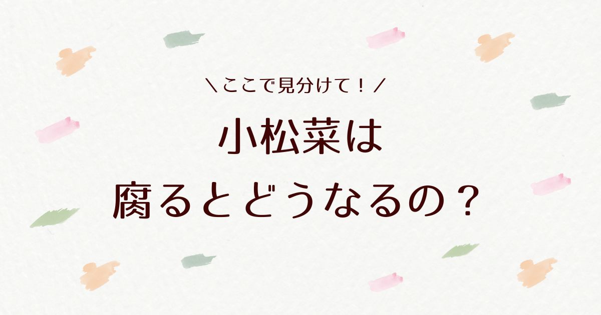 小松菜が腐るとどうなる？見分け方と長持ちさせる保存方法