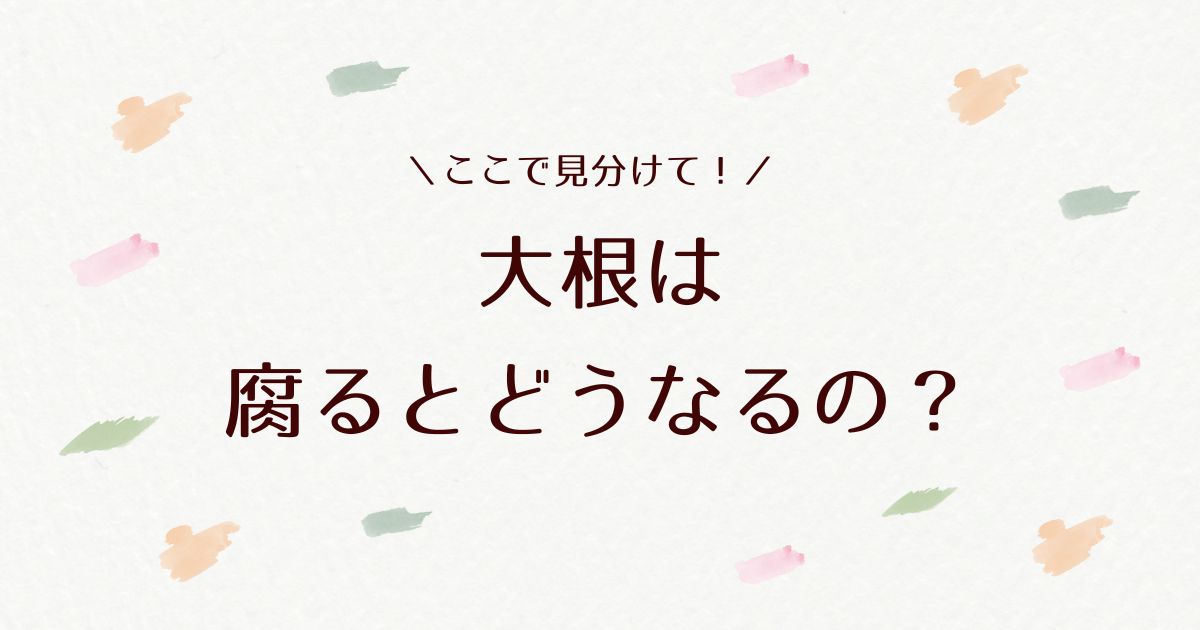 大根が腐るとどうなる？断面の特徴など見分け方をチェック！