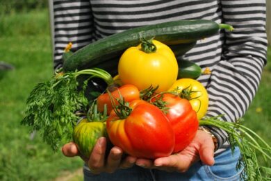 両手いっぱいに野菜を持っている