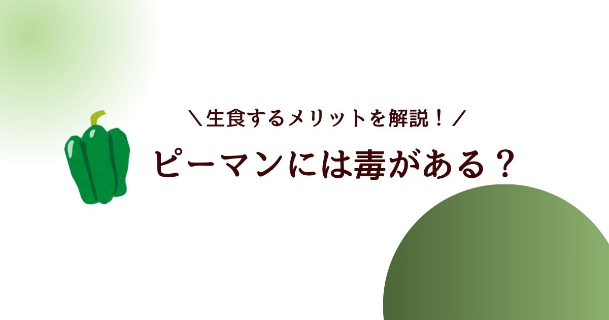 ピーマンを生で食べると危険？栄養や食べすぎによるリスクも解説！