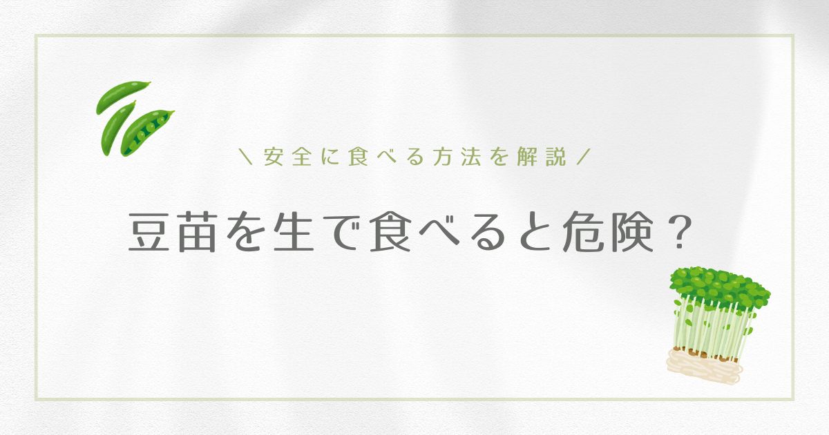 豆苗を生で食べると危険？安全性や食中毒・健康リスクを調査！